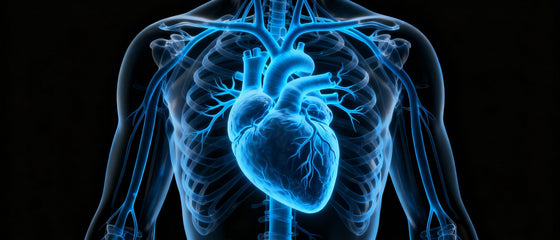 Cold Water Baths and Heart Disease Prevention: What the Evidence Really Says