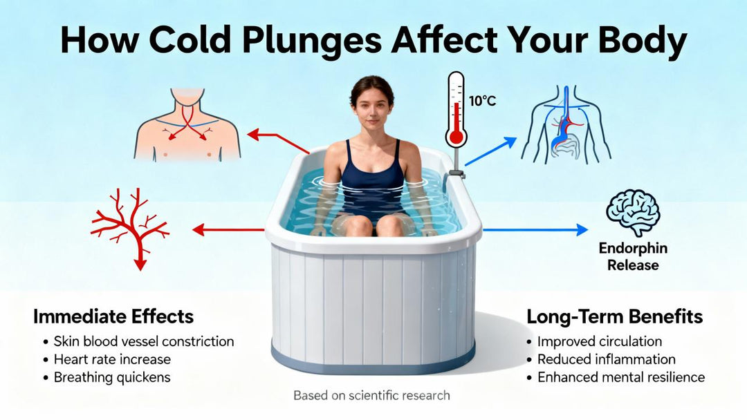 Cold Plunge After Weightlifting: Muscle Recovery Tips